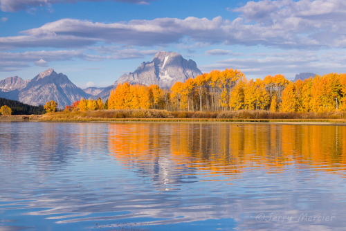 yournextdestination:This morning in Grand Teton National Park....