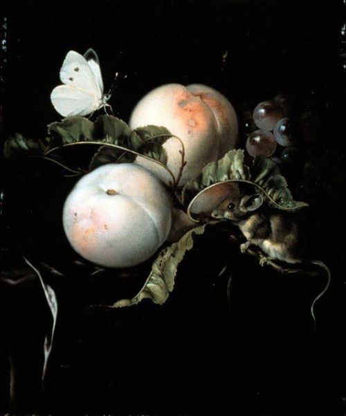 darksilenceinsuburbia:Willem van Aelst Fruit Still-life with...