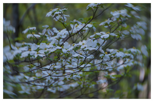 tumblr photo