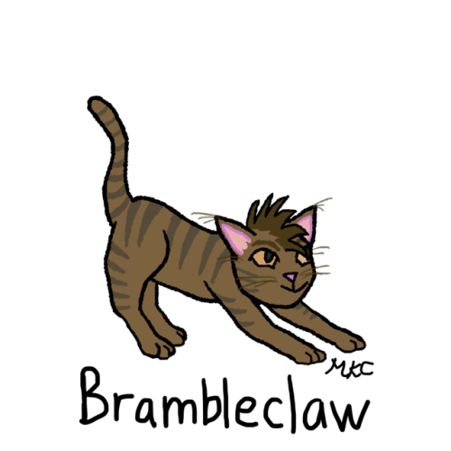 liepardstar