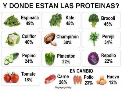 Beterraba dieta da proteina Beterraba dieta da proteina