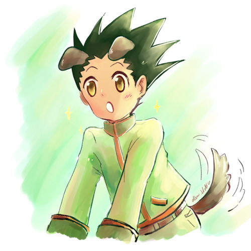 killua the cat | Tumblr