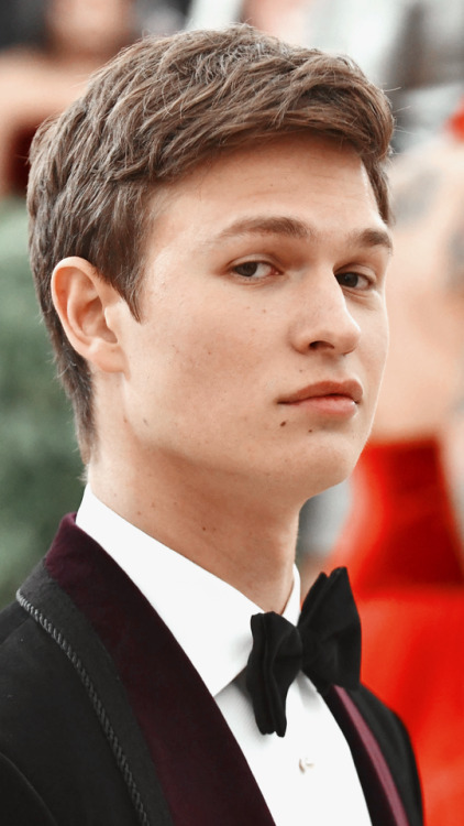 ansel elgort wallpaper | Tumblr