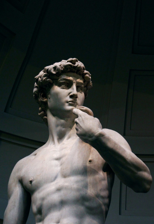 Statue Of David On Tumblr
