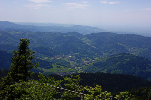 View from Hornisgrinde, Black Forest.