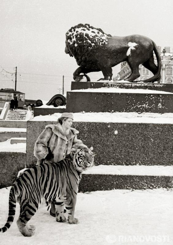 Animal tamer Margarita Nazarova with her tiger (Leningrad, December 1965)