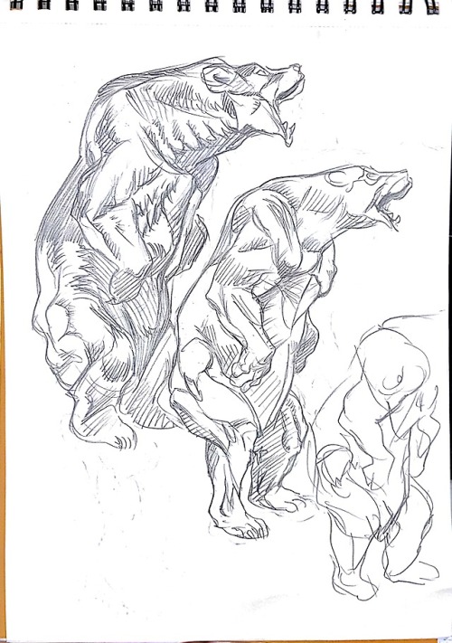 deerchip:werewolf drawing and some studies from yesterday