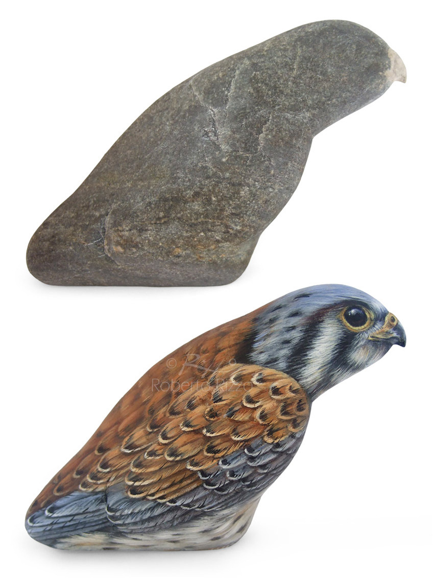 Kestrel - Acrylic on Rock - 6’’ (Before/After) This rock painted kestrel was a real challenge! I found an incredibly shaped stone on the beach and I decided to add for the first time a small beak using a very strong synthetic paste. I worked with...