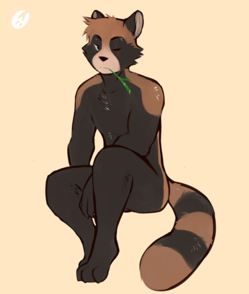 tohfu-kun:doodled a random Tanuki :3 may have use for him in...