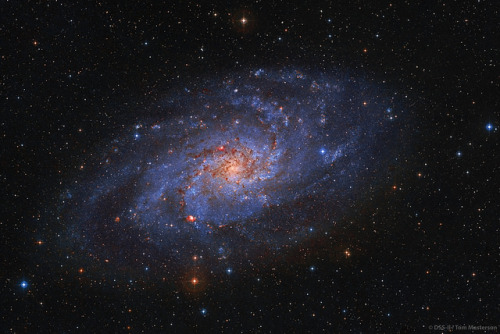 uraniaproject:Triangulum Galaxy M33 DSS-II by...