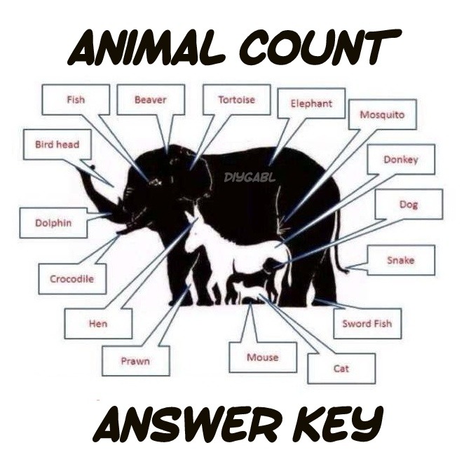 HOW MANY ANIMALS DO YOU SEE ANSWER KEY Total... DIY