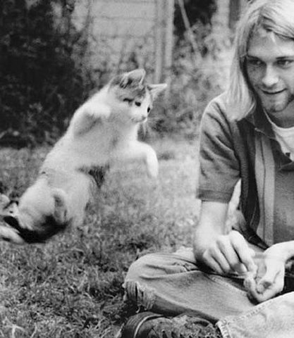 sarcasm-factory:Kurt Cobain and kittens.