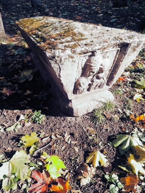 frankensteinsbrides:October vibes. The Old Donskoye Cemetery...