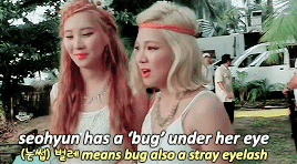 tumblr_pt7jyxeB2s1xvo7obo7_400.gif