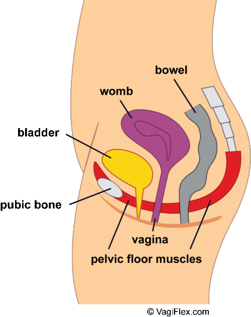 From There To Here So Uh I Ve Got A Hypertonic Pelvic