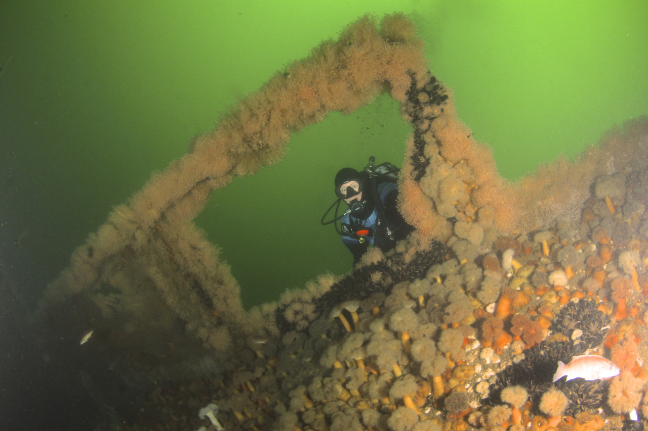 Mike's Diveblog — The Wreck of the Stolt Dagali The Stolt Dagali - a...