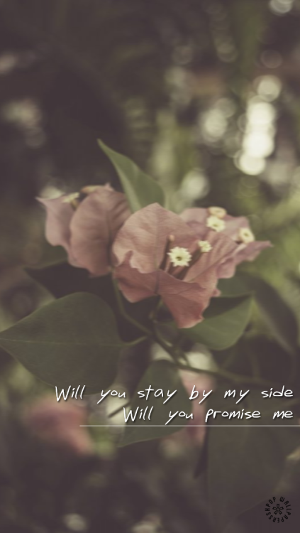 kpop-wallpaperss:BTS - I Need You and Butterfly...