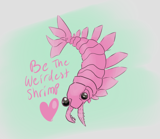 shrimp on Tumblr