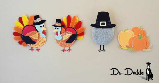 Thanksgiving Tips for Pets | Dr. Jean Dodds