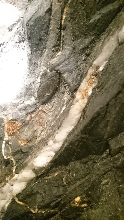 Anyone want to see what gold deposition in a quartz vein looks...