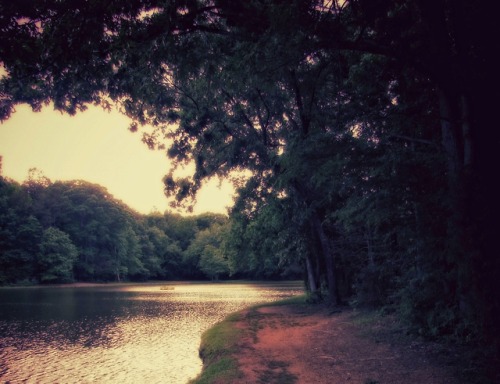 jasonlowder:Dusk at Lake Murtis