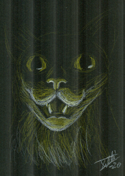 helip
