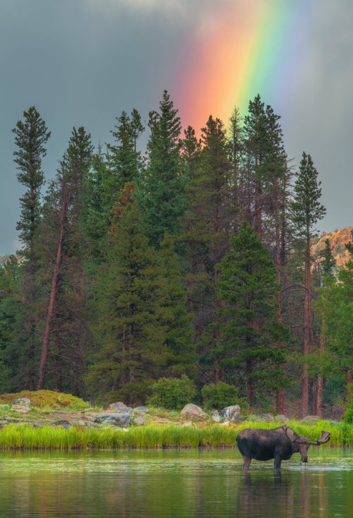 americasgreatoutdoors:You never know what you’ll see at Rocky...