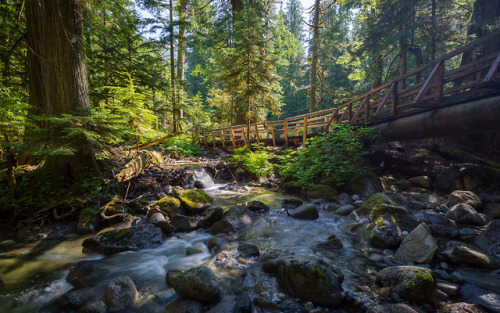 itakephotosofallthethings:Light The WayDeception Falls,...