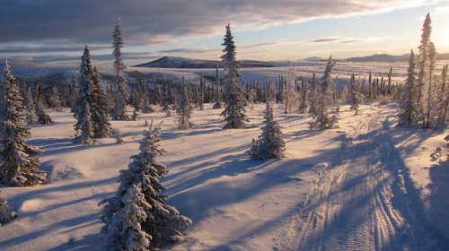 americasgreatoutdoors:The only winter trail in the National...