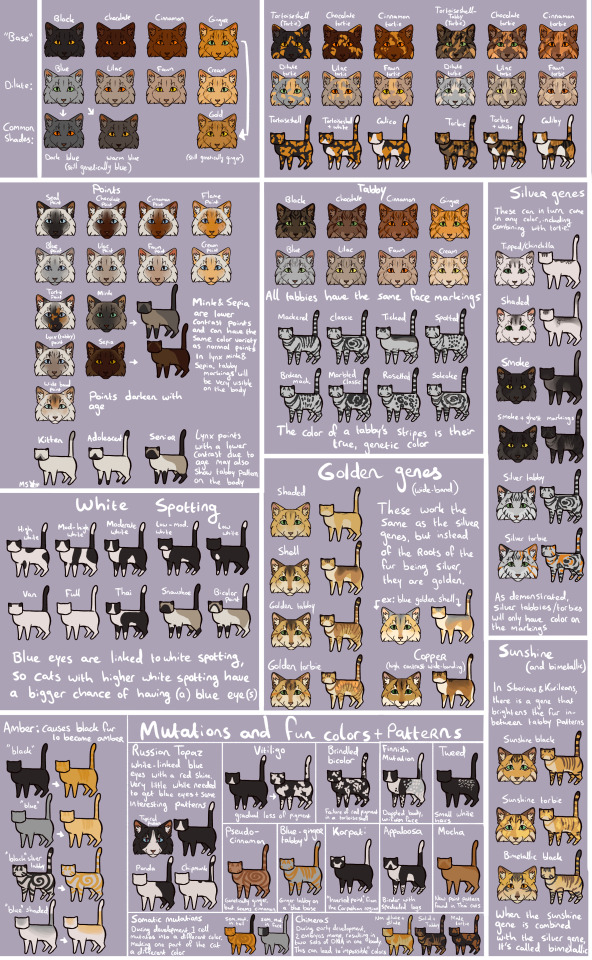 Cat color chart! OPEN IN A NEW TAB TO ZOOM IN This... - Designs that