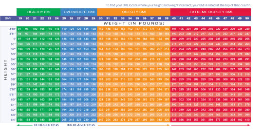 Bmi Chart Overweight