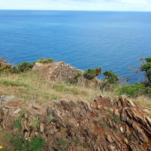 Wall to nowhere! Near Baggy Point Devon.#clifftopwalks...