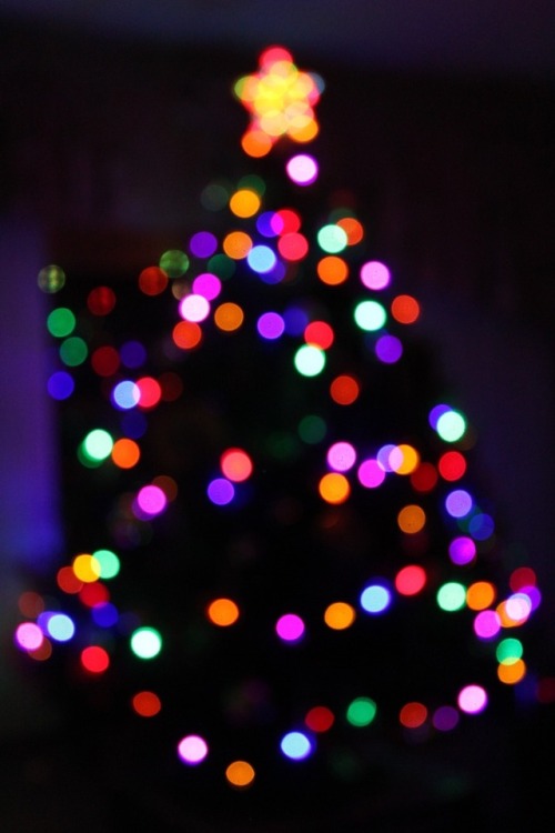 blurry christmas  tree lights  Tumblr 