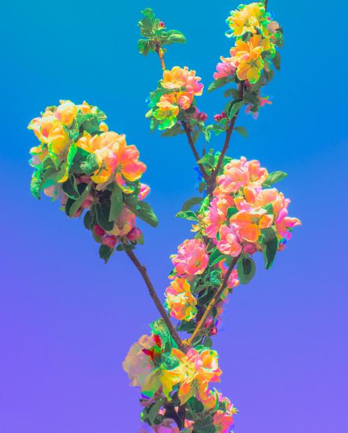 onpastel