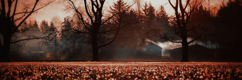 autumn headers tumblr autumn headers