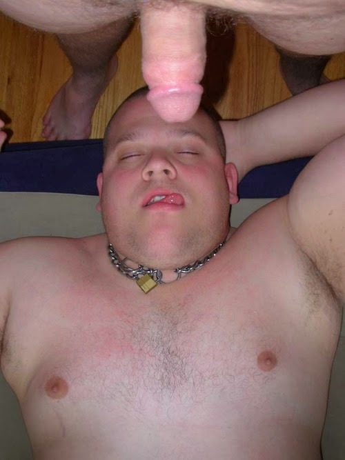 chrischub41:Pig cum dump