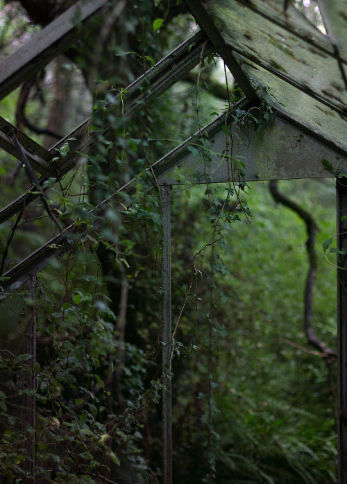 kenmarten:Abandoned Glasshouse, Wales (part 2)