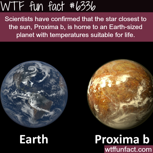 Proxima B - WTF Fun Facts