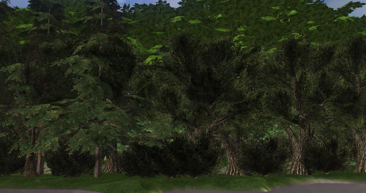 sims 3 forest world empty