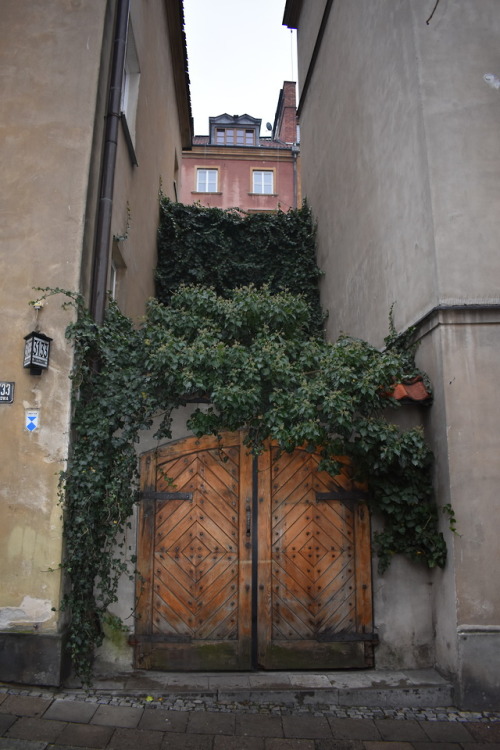 cozysafeplace
