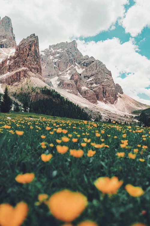 ponderation:Rolle Pass, Italy by Damiano Baschiera