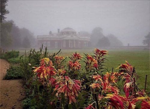 hashtagcwinstagram:#Repost @tjmonticello・・・Joseph’s Coat...