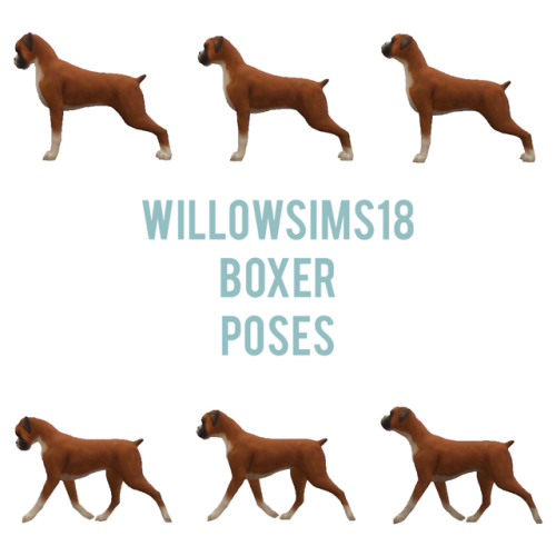 willowsims18