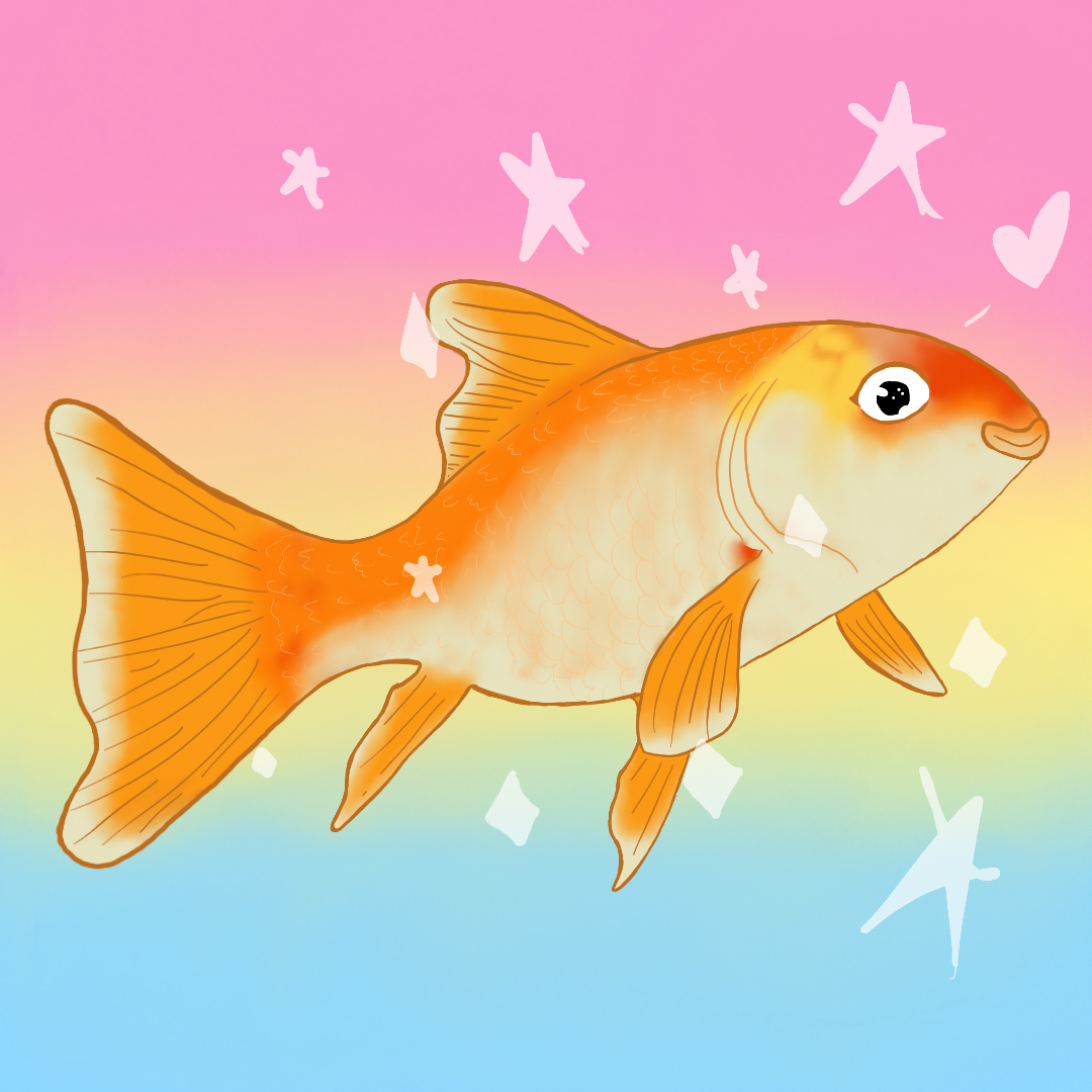 Unduh 55 Background Tumblr Fish Terbaik