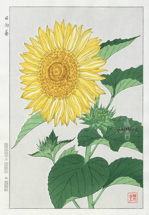 sunflower art print | Tumblr