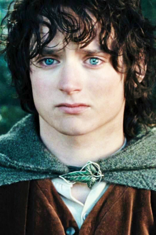 Lord Of The Rings Character Progression Frodo No Taste Of