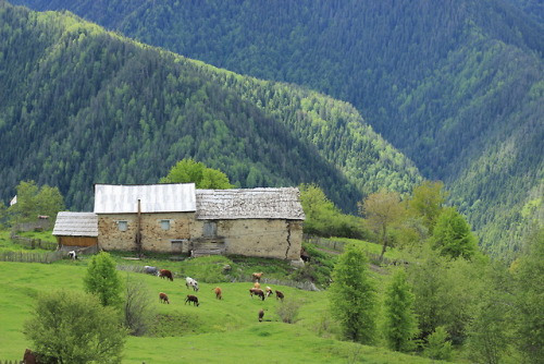 Cottage somewhere in mountains near Mestia in Georgia.