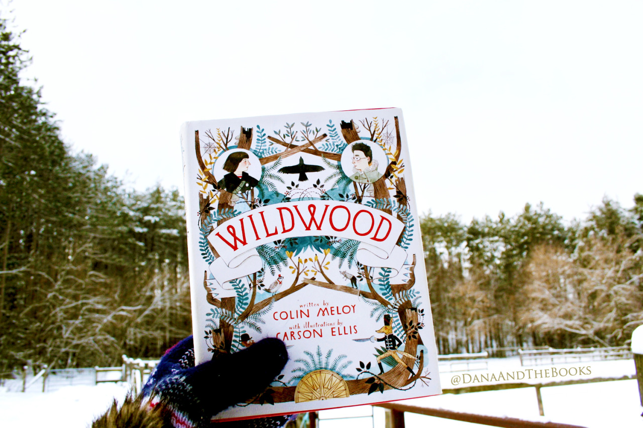wildwood colin meloy review