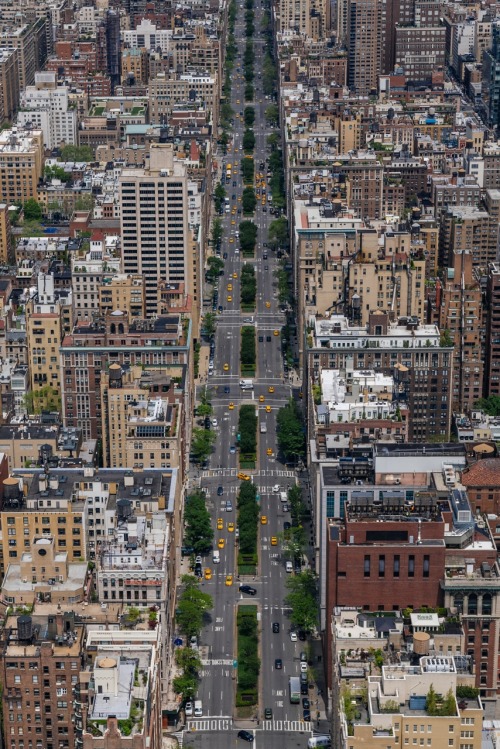 vanstyles:Park Ave.