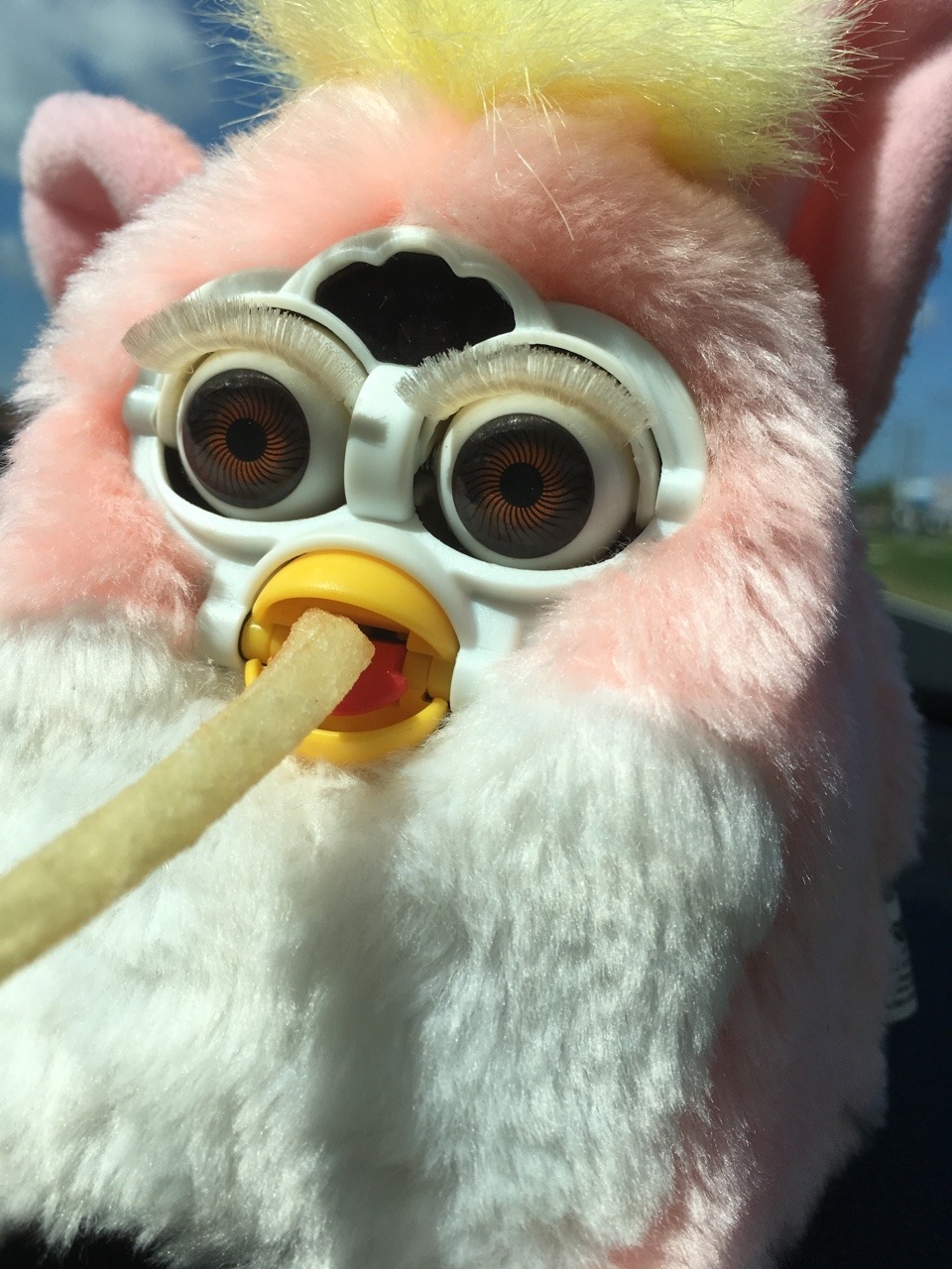 we worship furby in this house — foxfurby: Screaming boy going on an ...